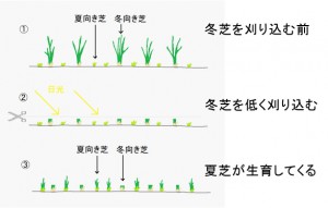 トランジション