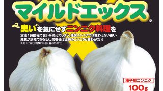 マイルドエックス 種子用 臭いの残らない国産ニンニク 100g 感動の園芸 儲かる農業 マイルドエックス 種子用 臭いの残らない国産ニンニク 100g 感動の園芸 儲かる農業